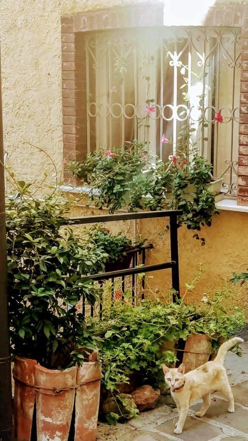 Casa Gaia Apartment Trivigno Luaran gambar